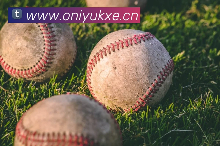 米兰官网登录入口服务体系